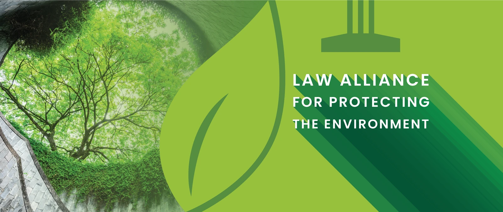 LAPE Facebook cover combining forest imagery, a leaf symbol, and the Law Alliance for Protecting the Environment name.