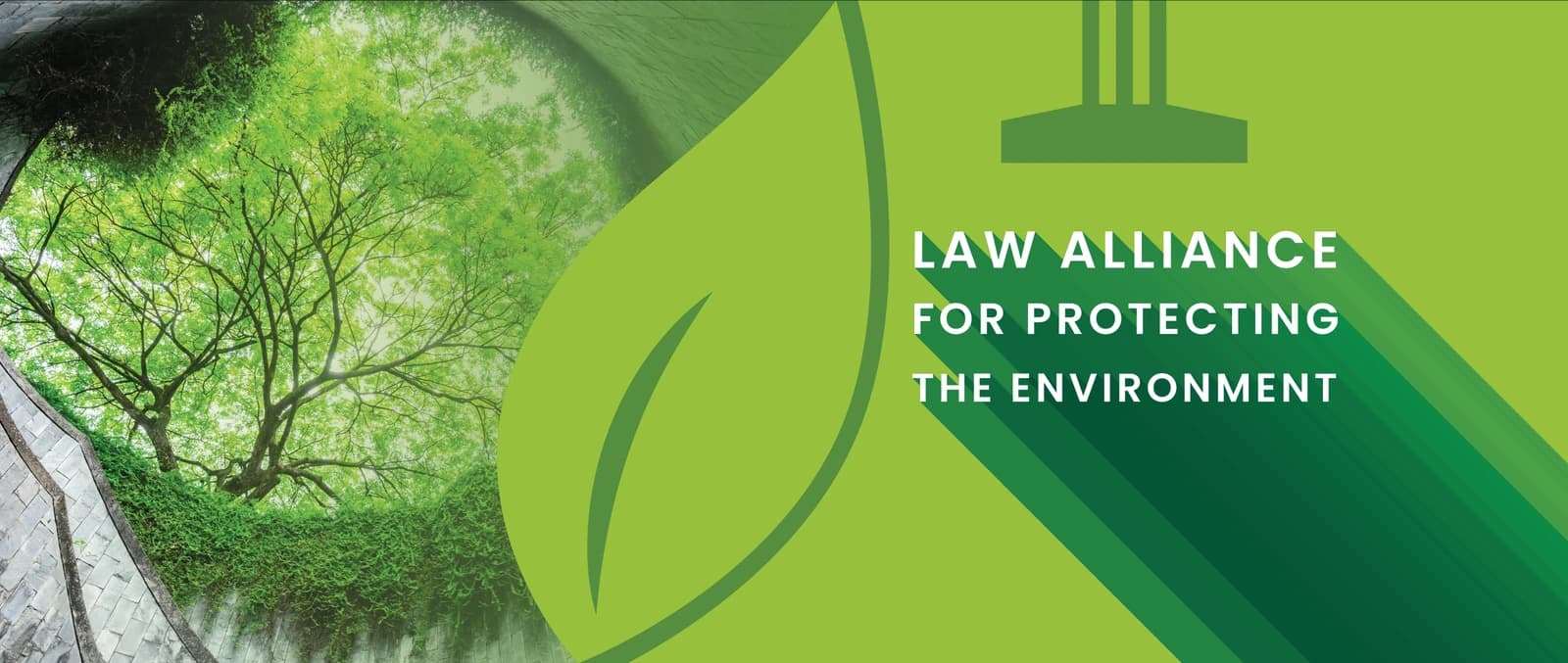 LAPE Facebook cover combining forest imagery, a leaf symbol, and the Law Alliance for Protecting the Environment name.