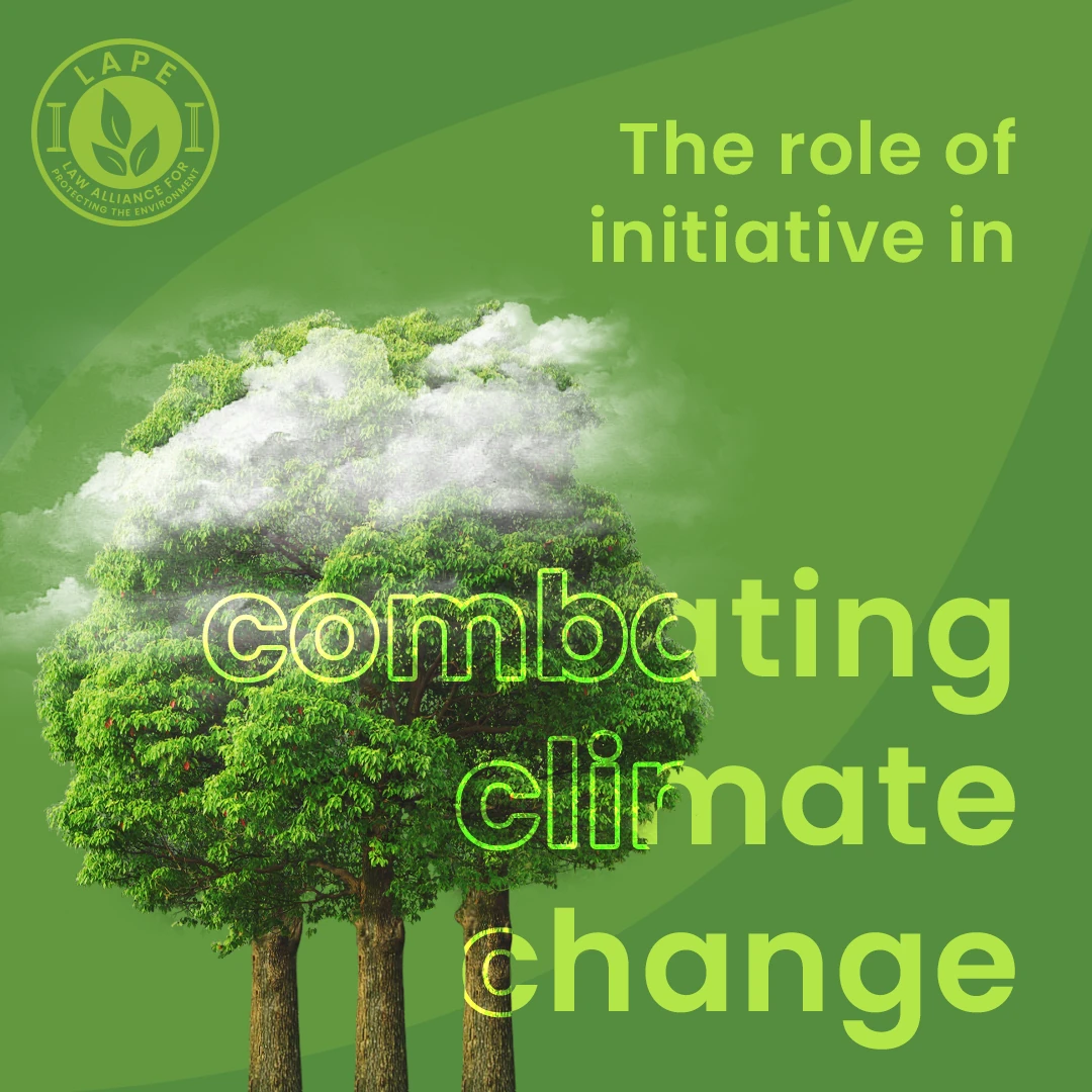 LAPE climate action design showing a tree-shaped cloud and green environmental typography.