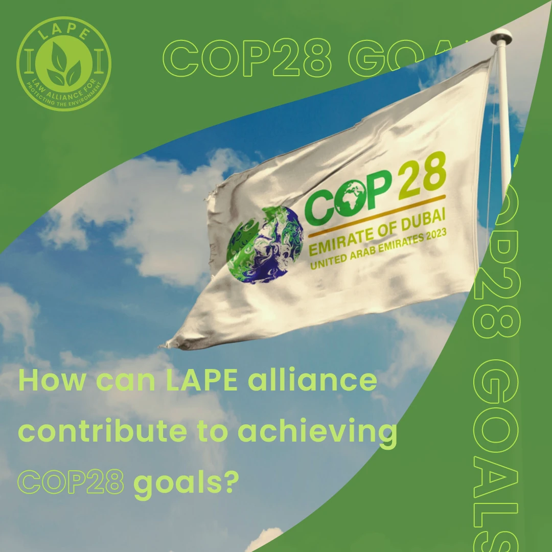 LAPE COP28 design showing the conference flag with green campaign styling.