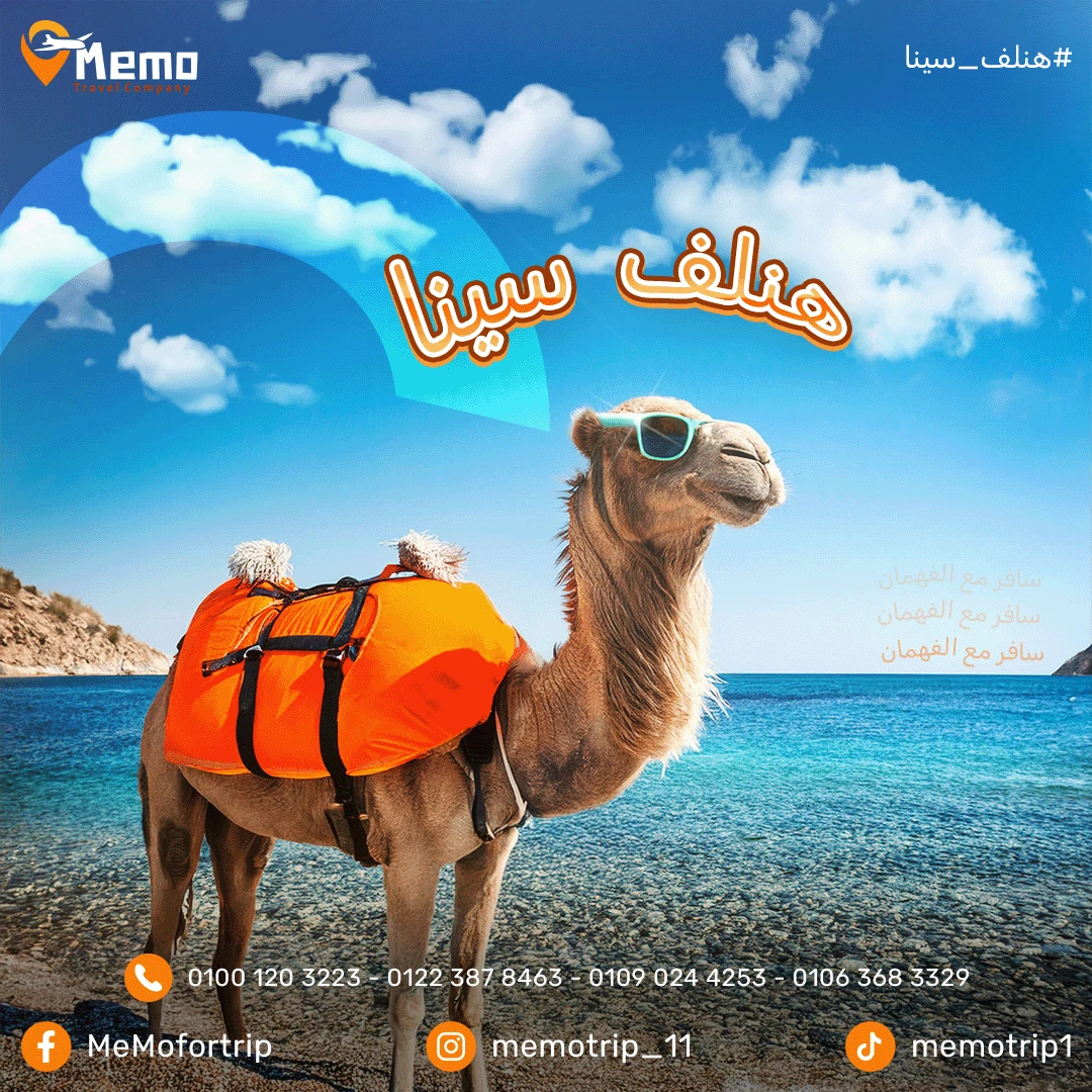Memo Travel Sinai design showing a camel with an orange bag and sunglasses beside turquoise water.