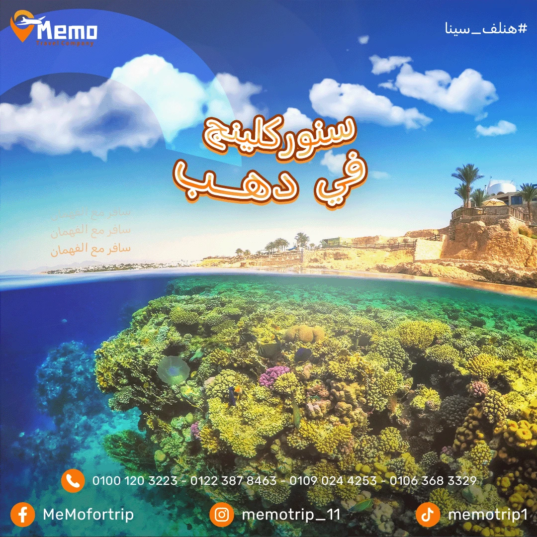 Memo Travel Dahab snorkeling design combining coral and turquoise water with the coastal landscape.